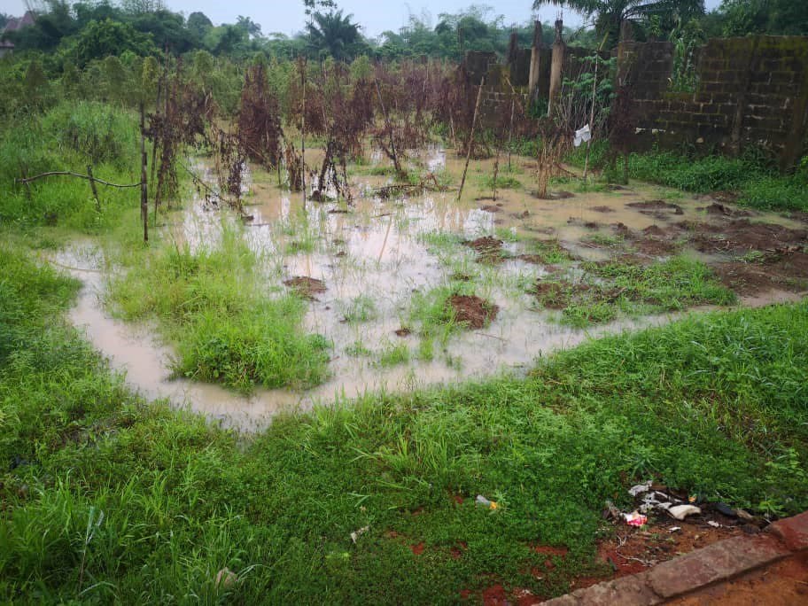 Flood Displaces 1, 000, Washes Away Farmlands In Anambra