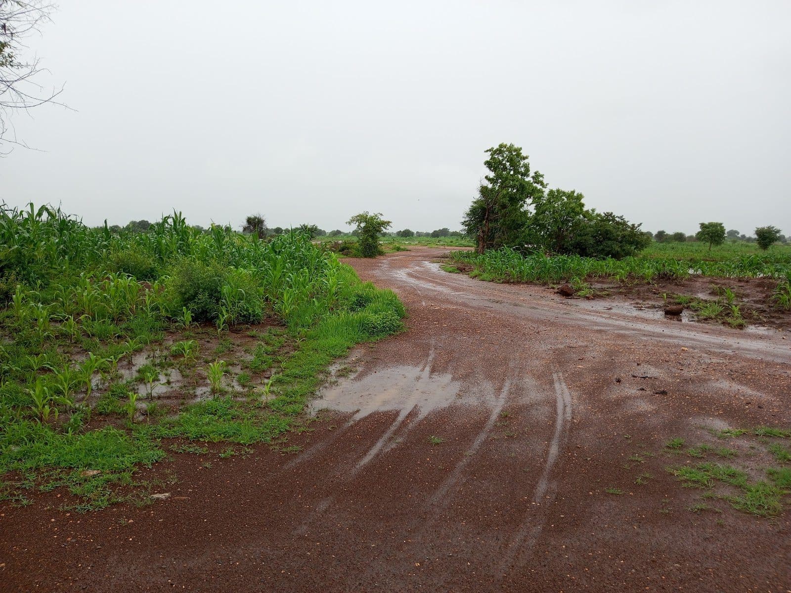 One of the several routes the terrorists use to access communities in Bukuyum LGA. It is located 13 kilometres away from Kisami to Mallamawa villages along Bukuyum -Anka highway. Photo Credit: Abdullahi Abubakar/HumAngle.
