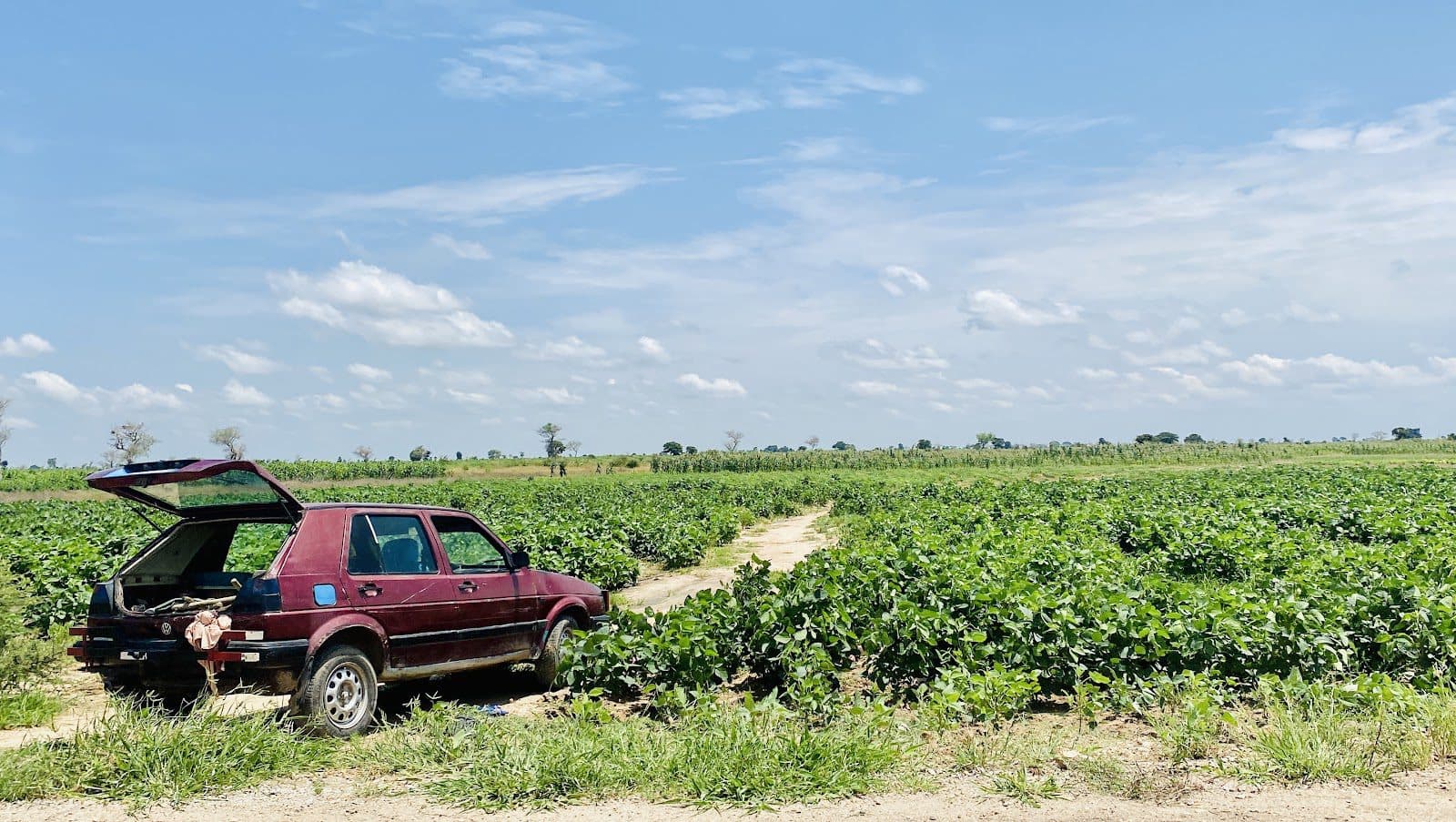 A car believed to belong to an arrested  Boko Haram logistics supplier was found near by a roadside farm in Gwoza local government. 