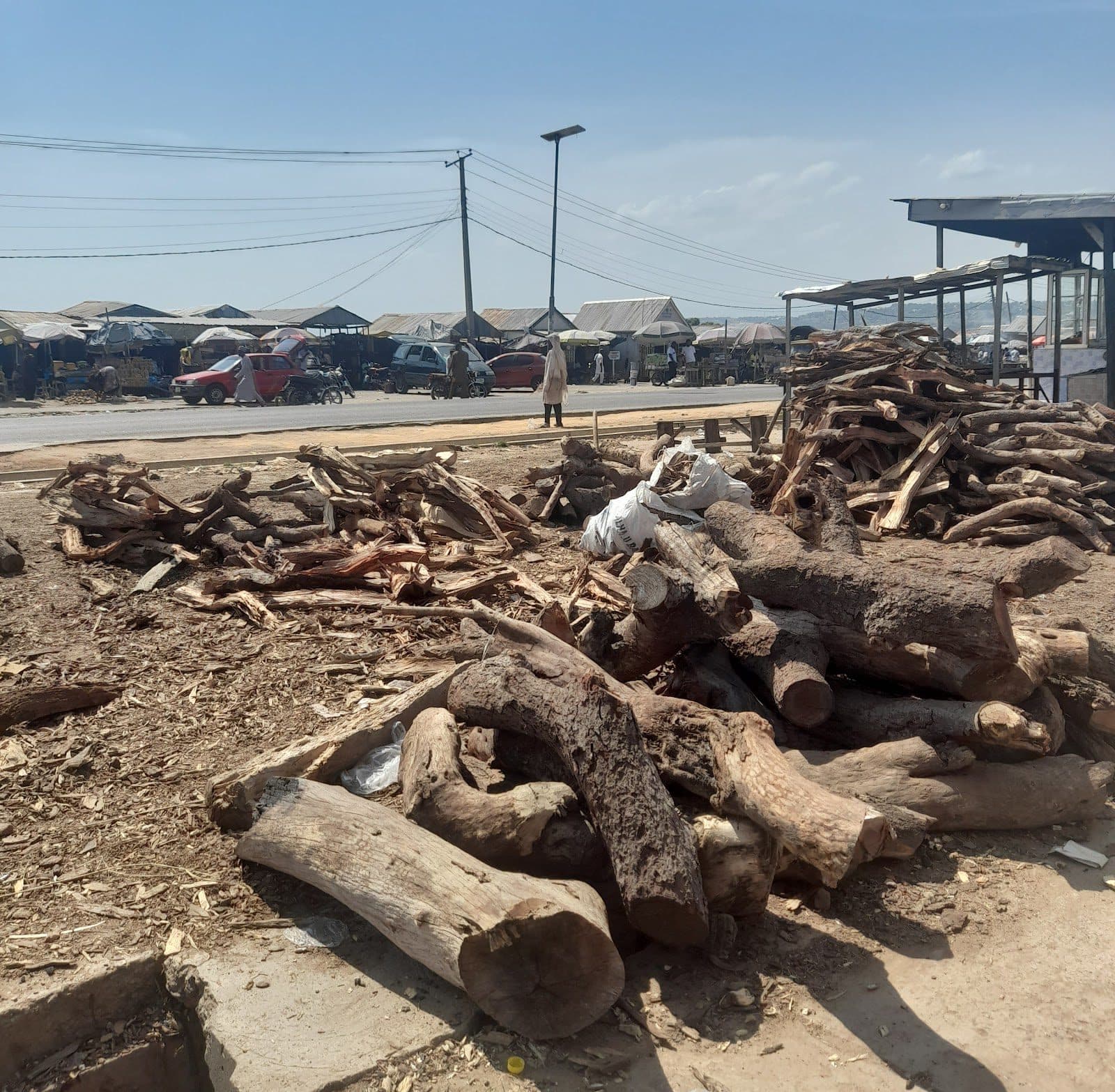 Diminishing popular tsaman tasha firewood market, Hayin gada, Girei. Photo: Obidah Habila Albert/HumAngle