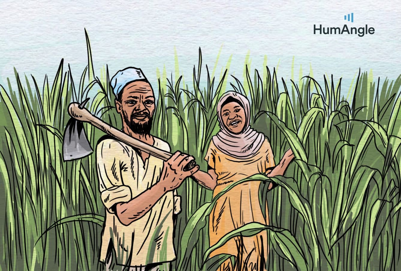 Illustration by Akila Jibrin/HumAngle.