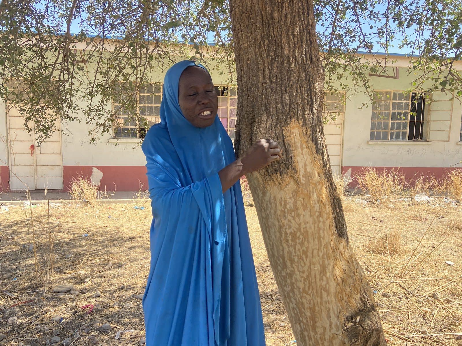 Sahura Abdullahi sustains her family by selling the bark of the Bishiryar aduwa tree at the weekly market in Jibia. Photo credit: Abiodun Jamiu/HumAngle