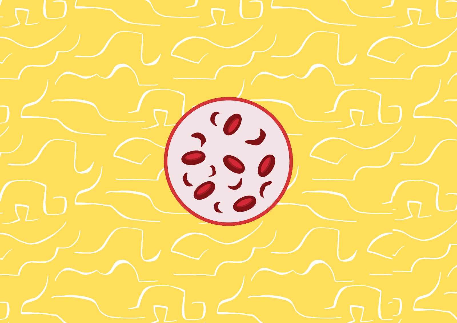An illustration of cells