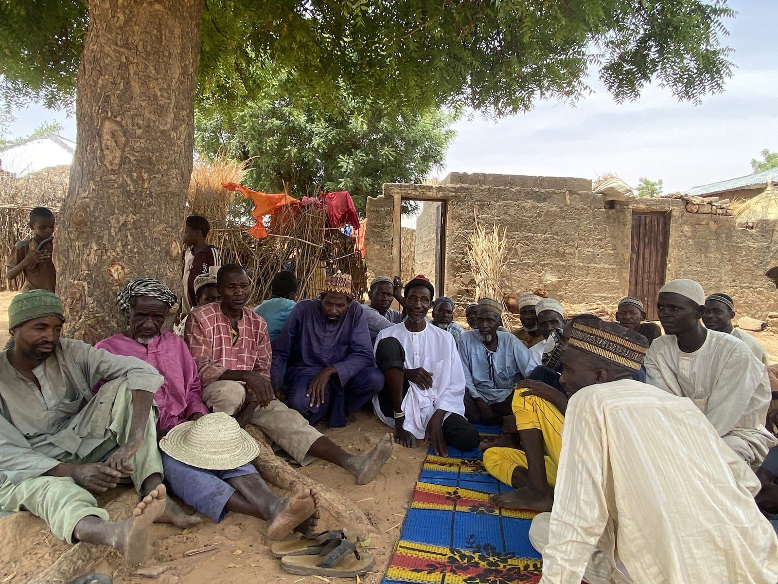Group of people sitting under a tree in a village setting.