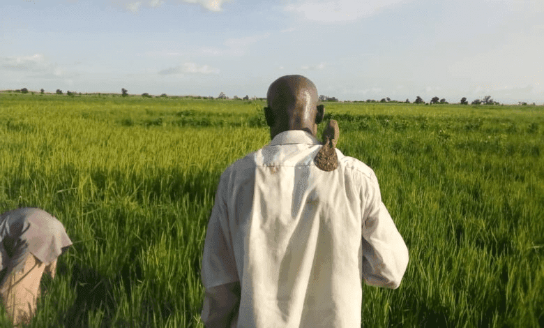 Man with a bird on shoulder standing in front of a green field under a blue sky.
