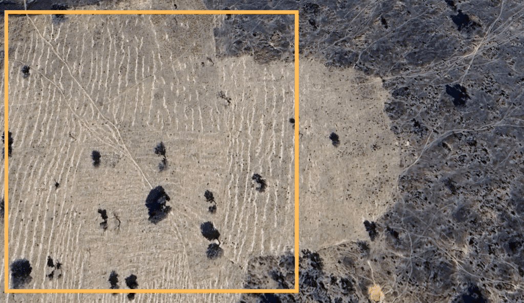 Aerial view of a barren field with tree shadows and tire tracks, divided by an orange line.