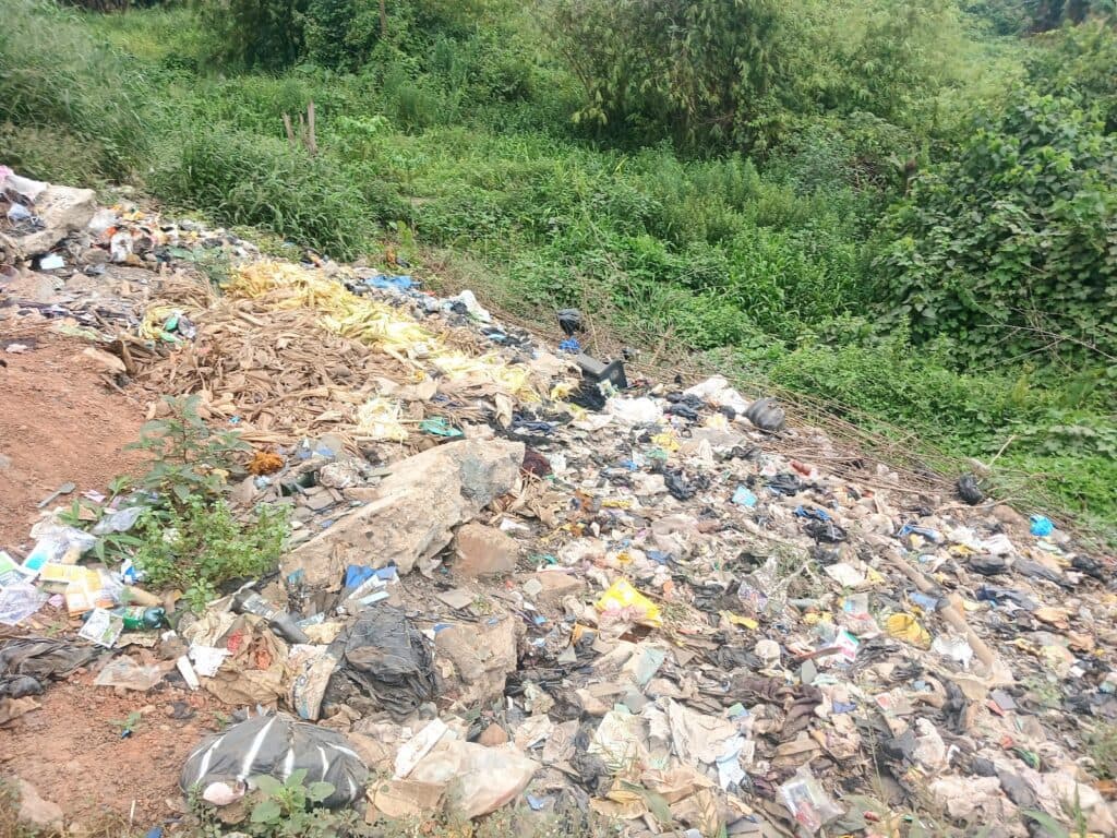 A littered area with various types of garbage scattered on the ground, surrounded by vegetation.