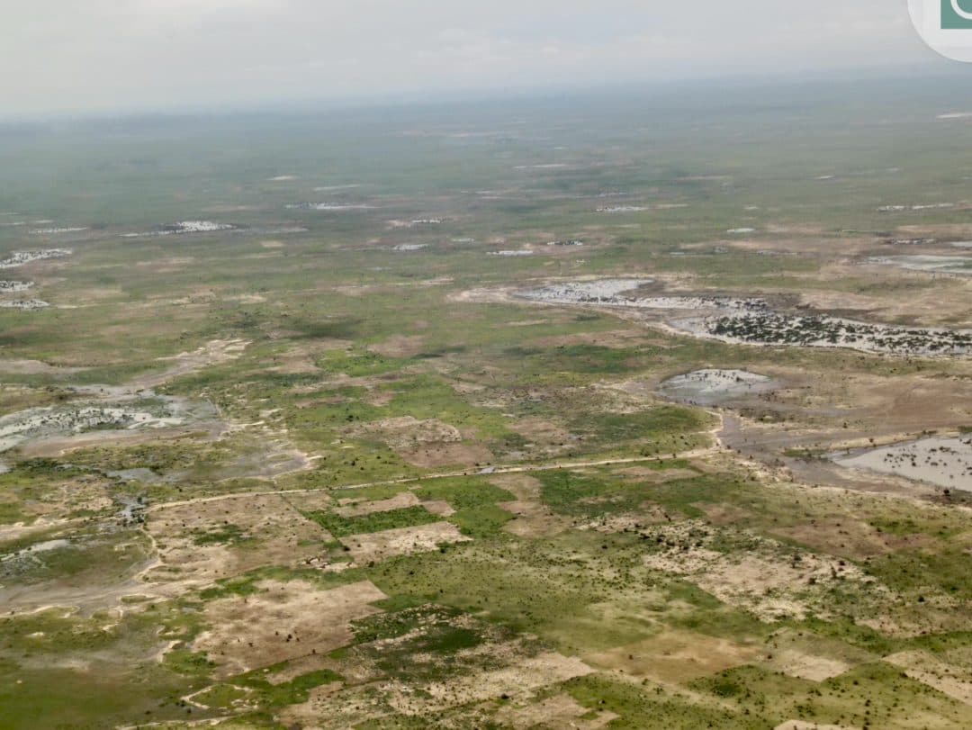 Aerial view of a floodplain with water bodies, patches of greenery, and scattered trees.