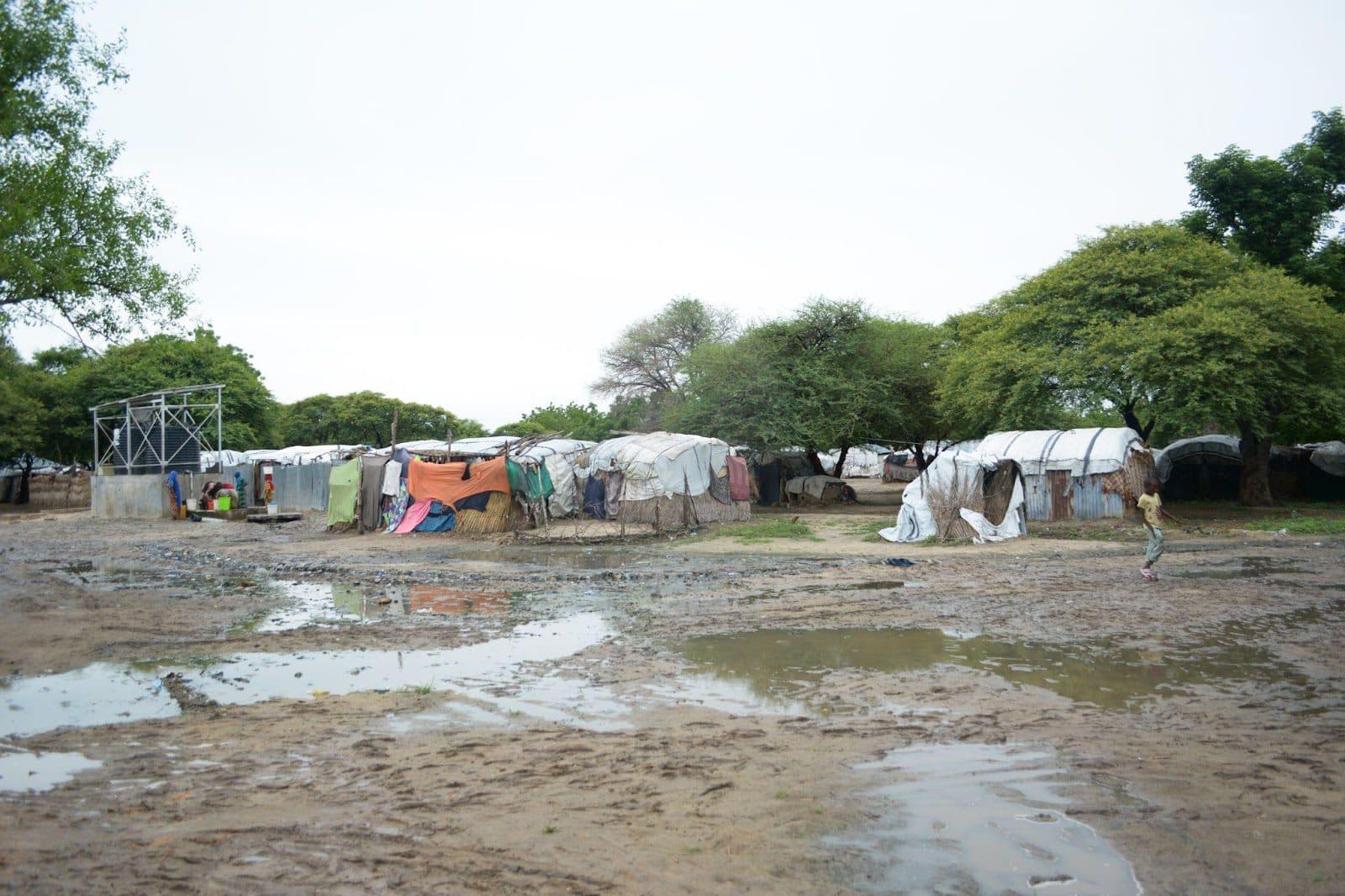 Rural makeshift shelters with clothing lines amidst trees, with a child and puddles in the foreground.