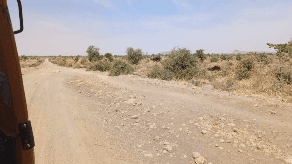 Dirt road surrounded by bushes and dry grass under a clear blue sky. A vehicle