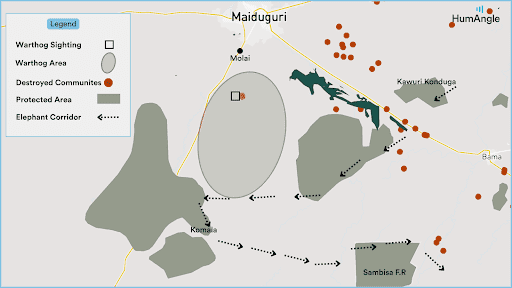 Map showing warthog sightings, destroyed communities, and elephant corridors near Maiduguri, with protected areas highlighted.