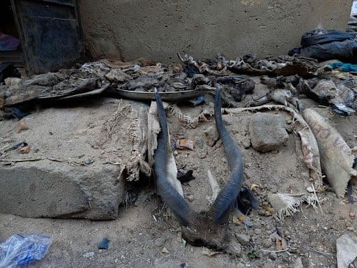 Animal horns and bones are arranged on a sandy surface outside a building. Worn textiles and rocks are scattered around.