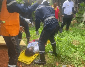 Emergency responders assist a person lying on a yellow stretcher on grassy ground, surrounded by other team members and greenery.