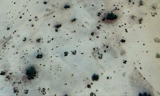 Aerial view of a sparse desert landscape with scattered small bushes and patches of vegetation.