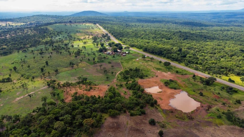Aerial view of a rural landscape with fields, a village, a road, and a large expanse of forest.