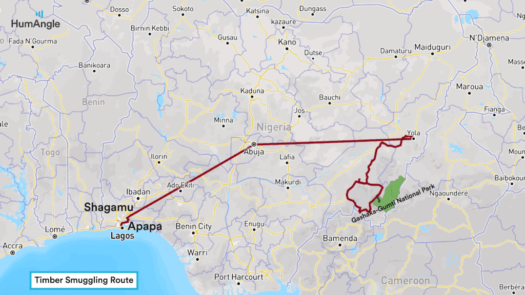 Map of Nigeria showing a timber smuggling route from Gashaka-Gumti National Park to Apapa, Lagos, passing through various cities.