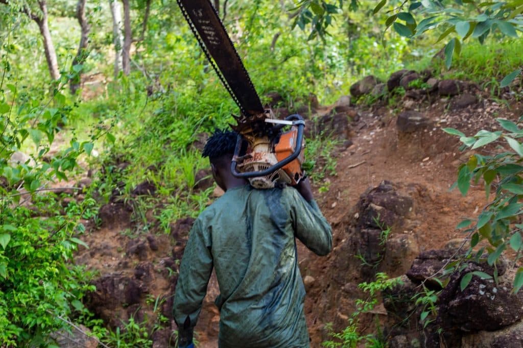 Person carrying a chainsaw on their shoulder, walking up a rocky path surrounded by lush green trees.