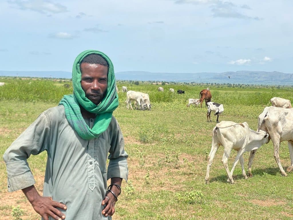 A person in a green headscarf stands in a grassy field with cows grazing in the background under a blue sky.