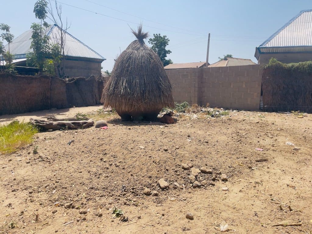 A small thatched hut in a dry, fenced yard with a brick wall, near houses with metal roofs under a clear blue sky.