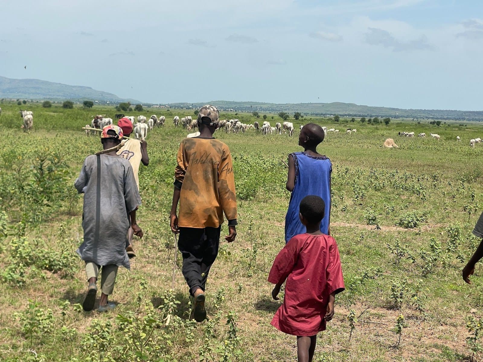 A group of people, including children, walk through a grassy field with cattle in the distance under a clear sky.