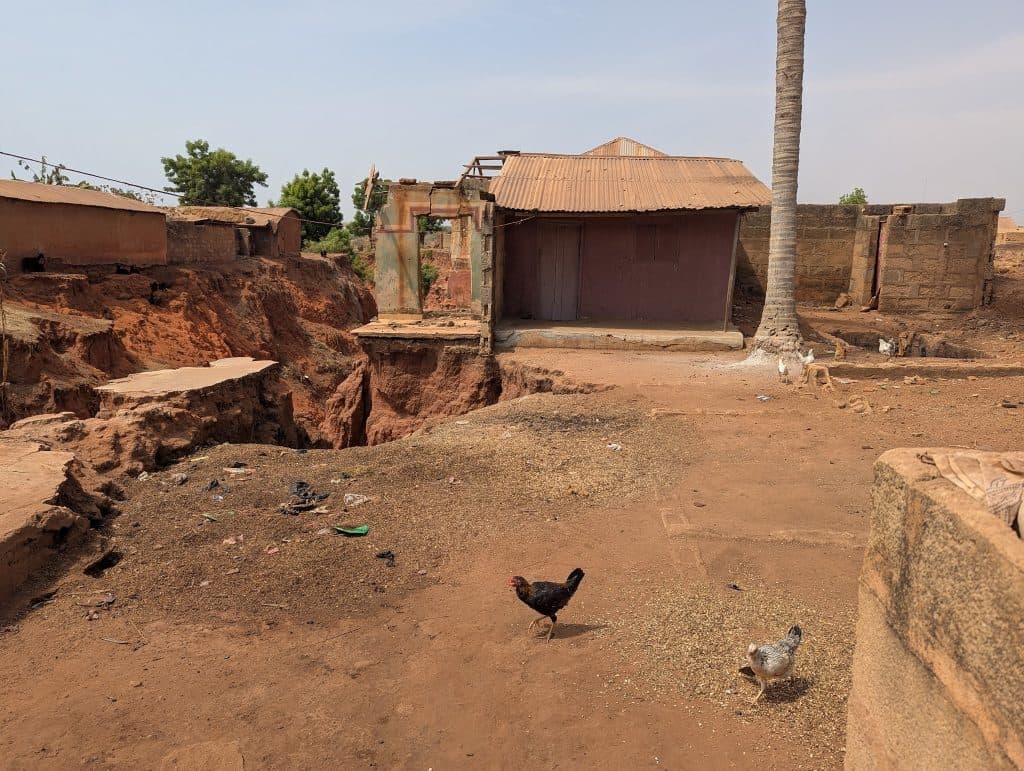 Rural landscape with a dirt path and houses, some erosion visible. Chickens roam in the foreground near a palm tree.