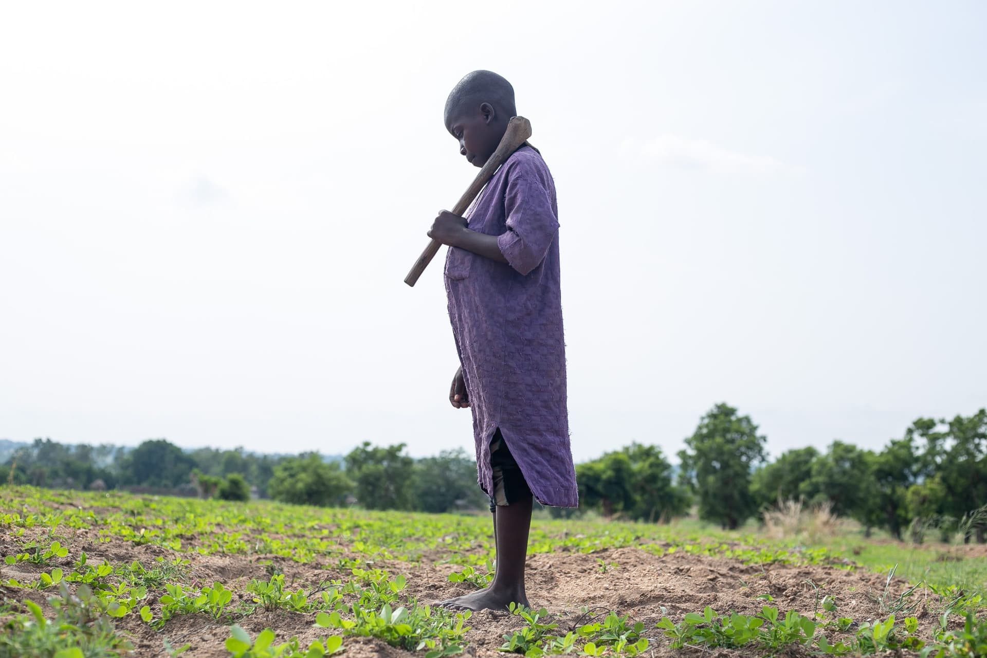 A child stands in a field holding a hoe over their shoulder, against a backdrop of green plants and distant trees.