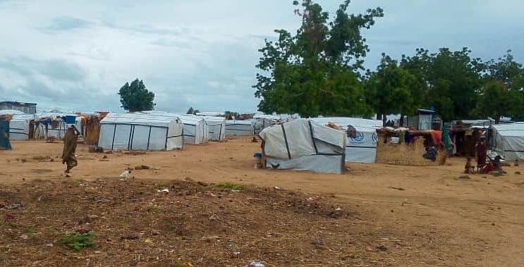 Rows of makeshift tents in a dusty area, surrounded by scattered trees and a cloudy sky. People and items are visible around the shelters.