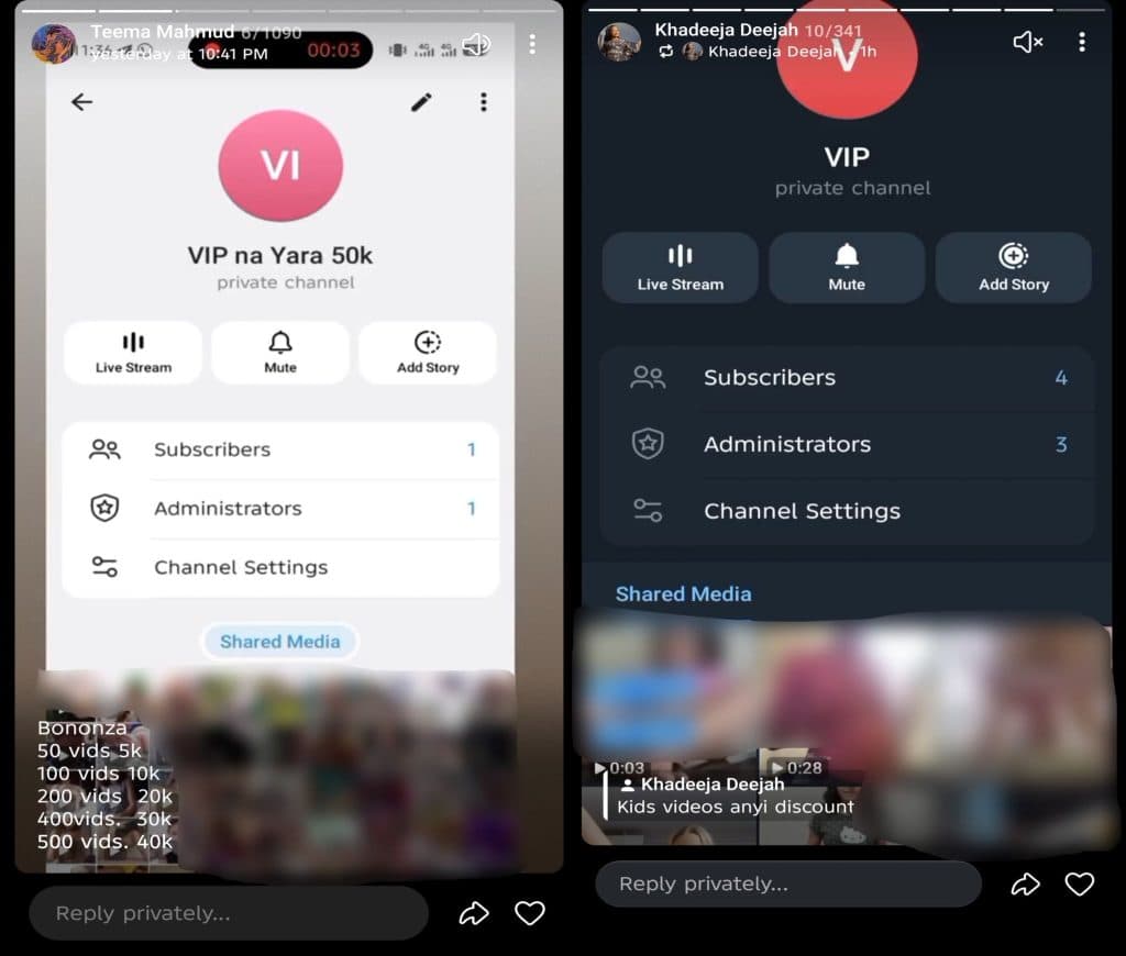Two screenshots of private channels, each with subscriber and administrator counts, options for live stream, mute, and adding a story.