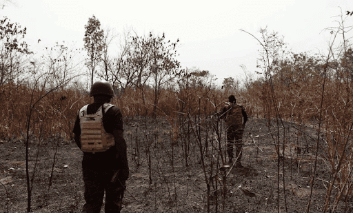 Two people in protective vests walk through a dry, burnt-out landscape with sparse trees under a clear sky.