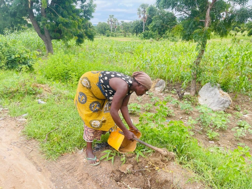 Person in colorful attire, working in a lush field with trees, pouring water on a plant from an orange can.