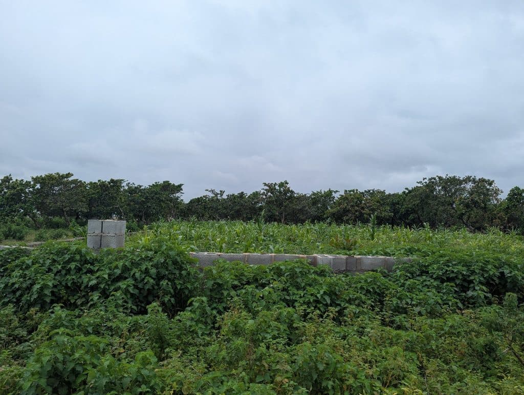 Lush green field with dense vegetation, scattered bricks, and a cloudy sky in the background.
