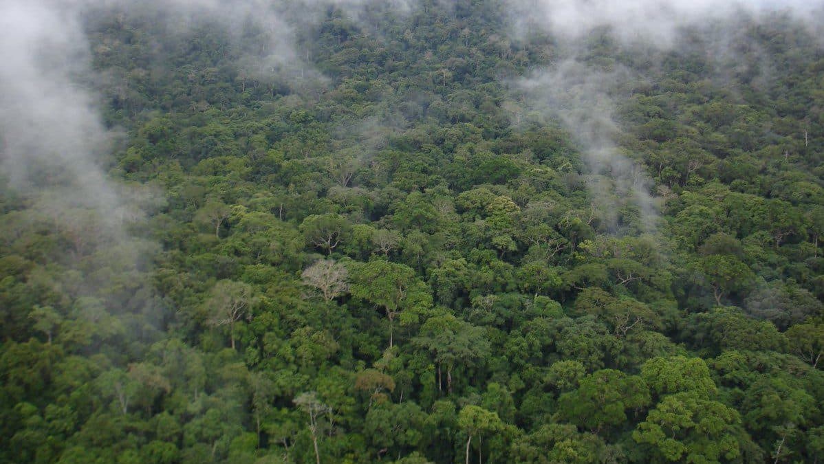 Deforestation, Climate Change Endanger Freetown’s Water Supply