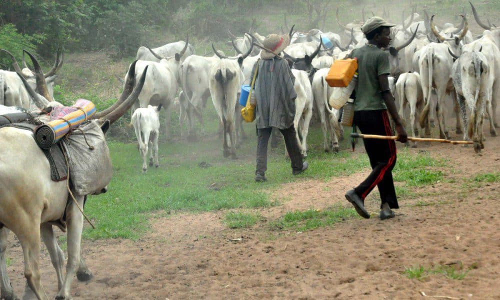 Herdsmen on the move