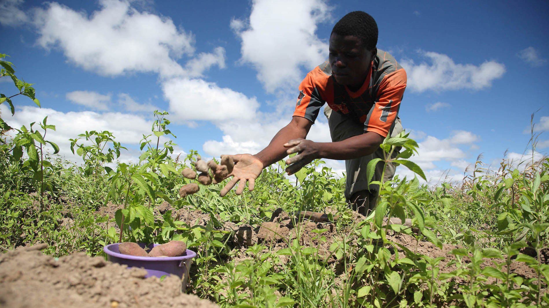 COVID-19 Impacting Negatively On Farming, Farmers Complain