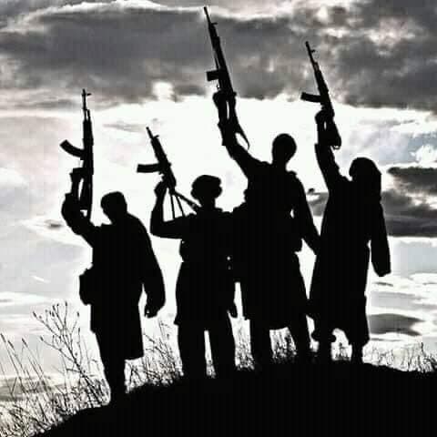 Gunmen Kill 3 Infants, 6 Others In Birnin Gwari