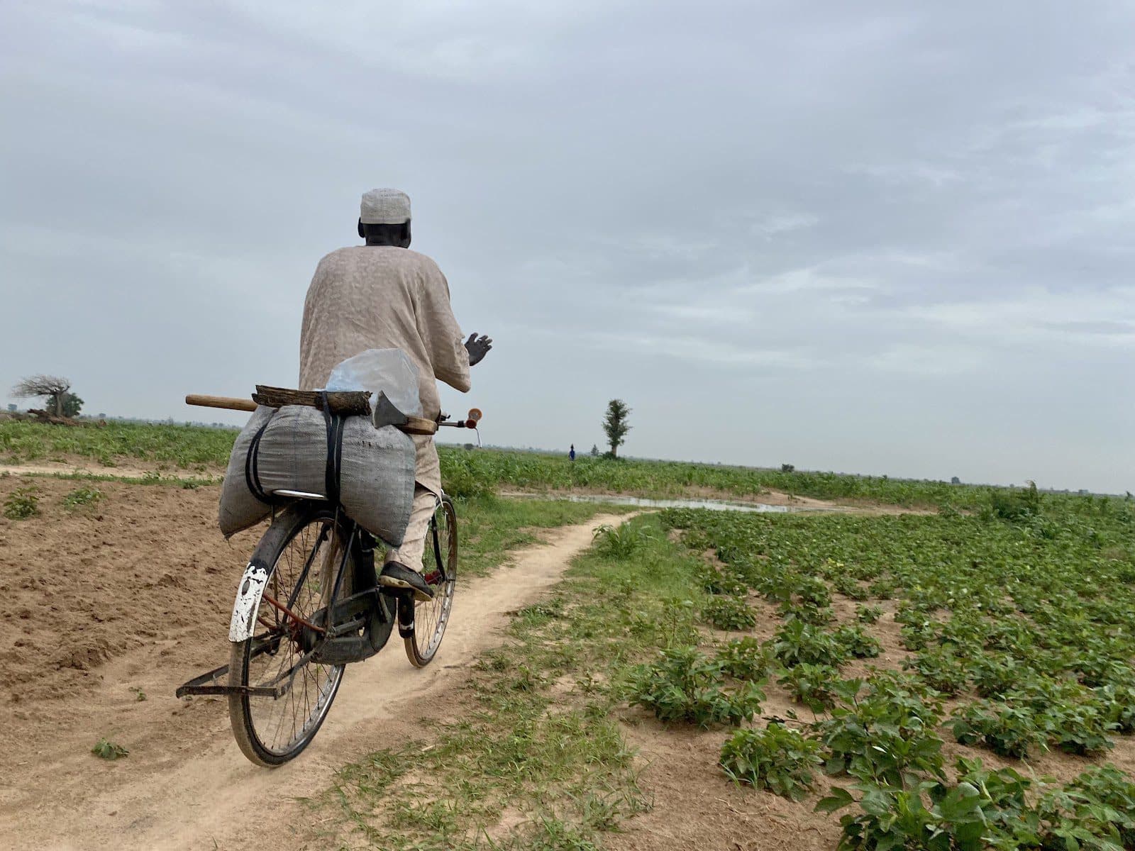 A man rides a bicycle as he heads to his farm in Pulka, North East Nigeria.