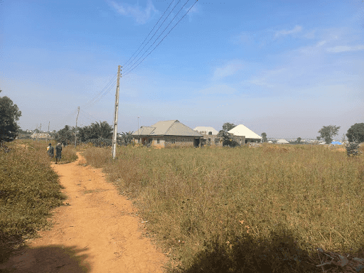 Dirt path through a field with scattered houses and telephone poles under a clear sky.