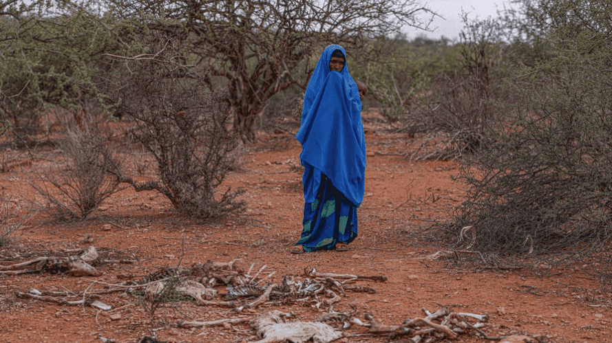 Person in blue traditional dress standing in a sparse, dry landscape.