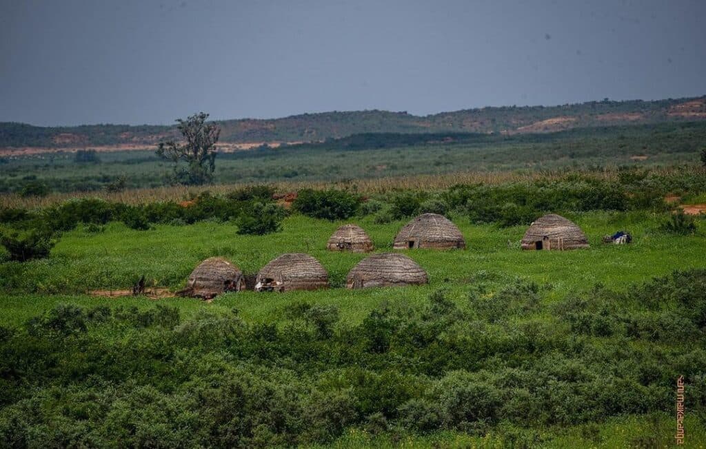 Traditional thatched huts nestled in a lush green field with a hilly landscape in the background.