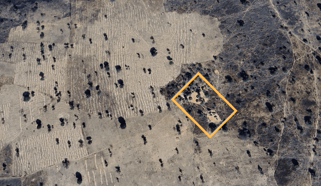 Aerial view of deforested land with a highlighted area showing remaining trees and shrubs.