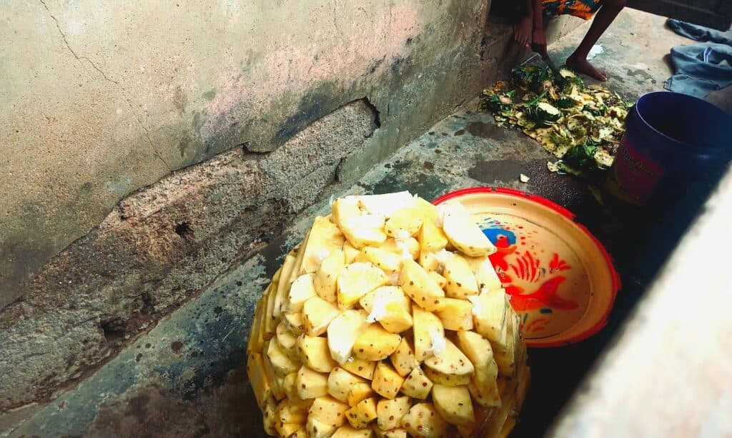Peeled pineapples on a tray beside a bucket and chopped peels on the ground, with a person