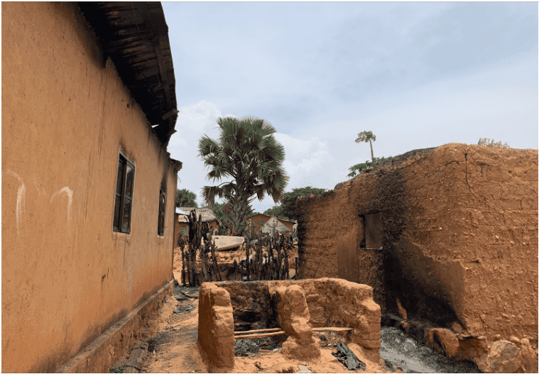 A traditional mud-brick village in a rural setting with palm trees and clear skies.