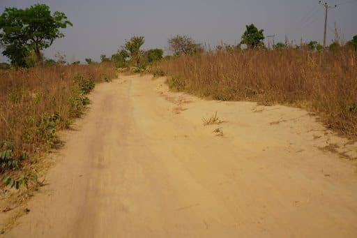 Dirt pathway through dry grassland with scattered trees under a clear sky.