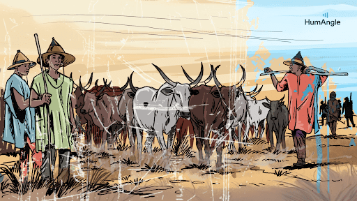 A group of people herding cattle across a grassy landscape, wearing traditional hats and colorful clothing.