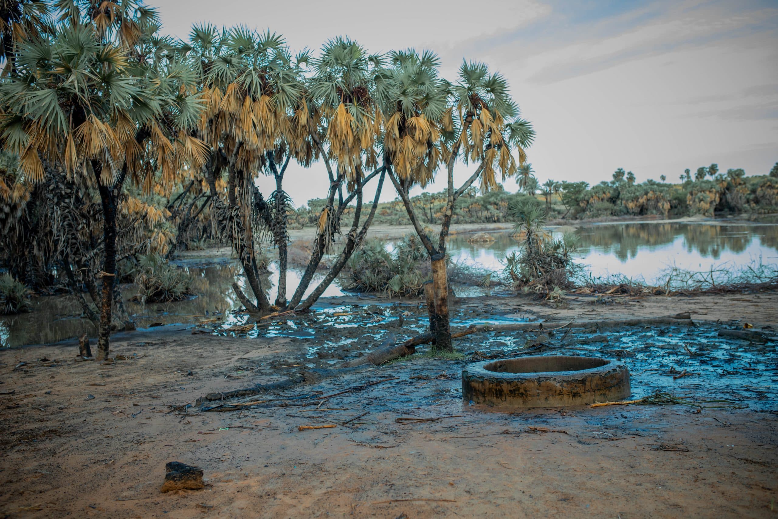 Tropical trees stand by a muddy riverbank with a circular stone structure in the foreground under a cloudy sky.