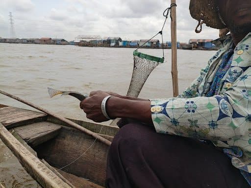 Person in a boat holding a fish and fishing net on a body of water with houses in the background.