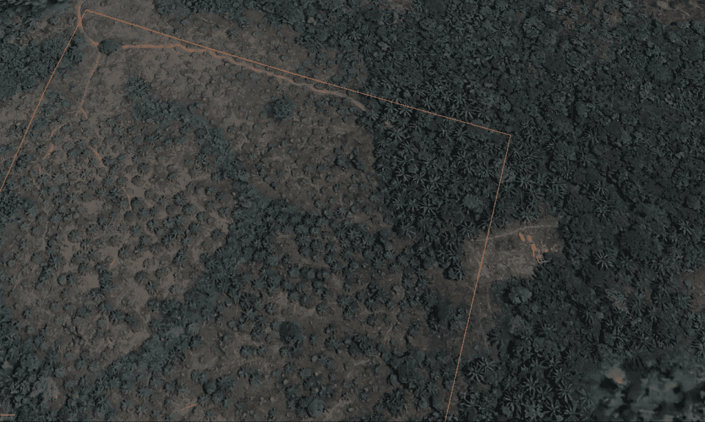 Aerial view of a dense forest area with paths, divided by an orange line, and a small clearing with structures on the right.