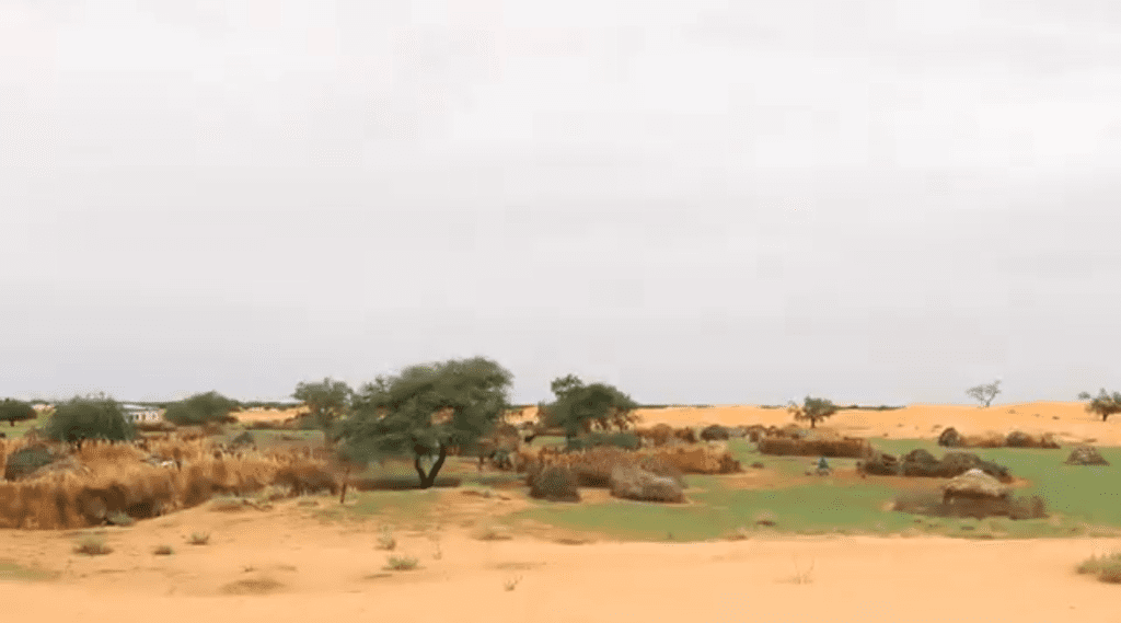 Desert landscape with scattered trees, shrubs, and small huts on green patches under a cloudy sky.