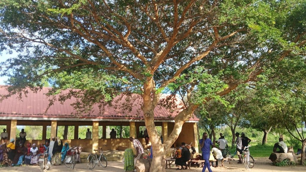 Large tree shading people near a building entrance, with bicycles and benches around. Sunny day with dappled light.
