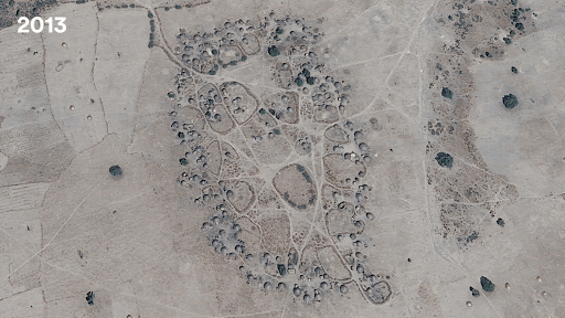 Animated aerial view of a large forest area reforestation progress from barren land in 2013 to dense greenery in 2021.